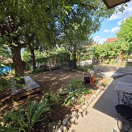 Sanader سوكو بانيا